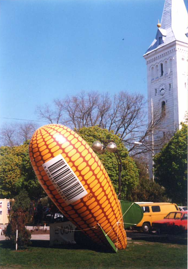 Héliumballon felbocsátásra készen, a mezőgazdasági GMO-k kockázatára felhívó akcióban